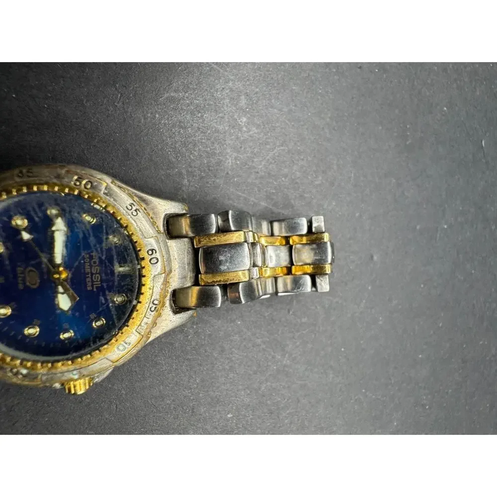 Fossil blue diver